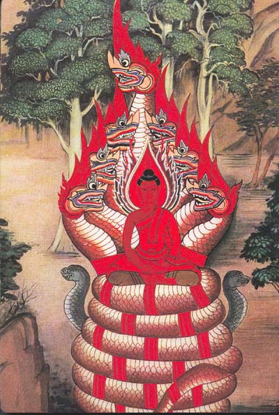 Bouddha Amithaba assis sur un serpent à 7 têtes, représentant l'éveil de la Kundalini.